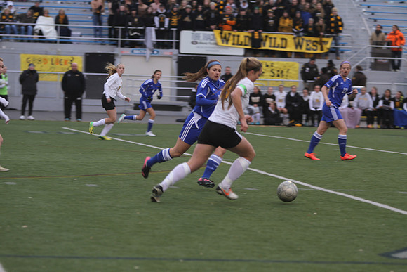 IMG_8772