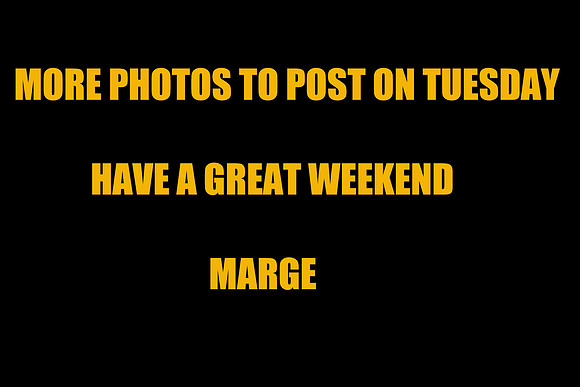 Marge