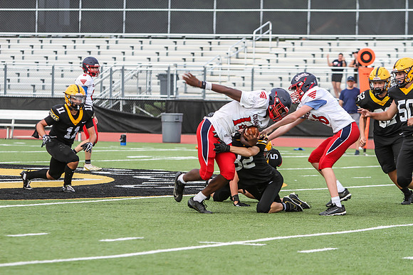 IMG_5493