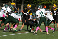 IMG_0101