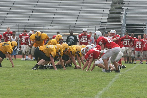 Picture_181