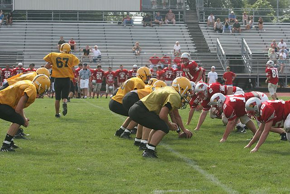 Picture_198