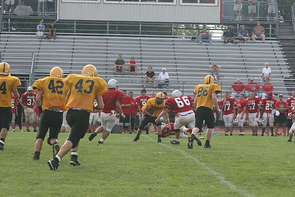 Picture_203