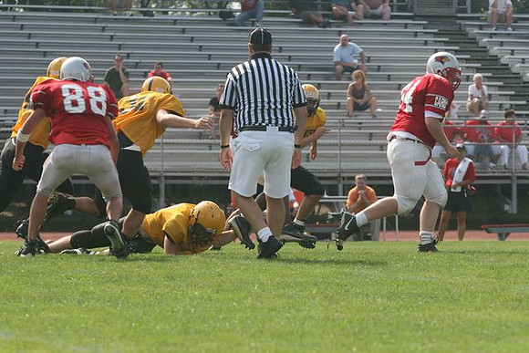 Picture_243