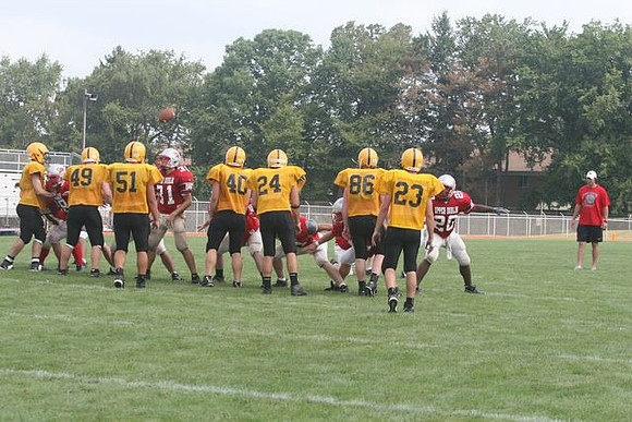 Picture_304