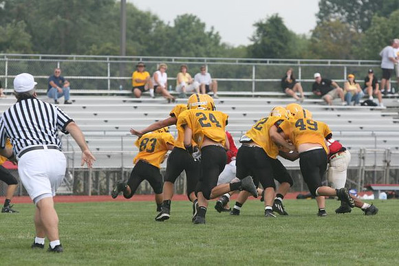 Picture_308