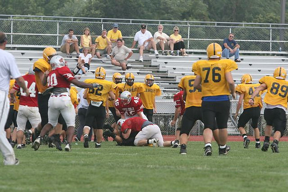 Picture_310