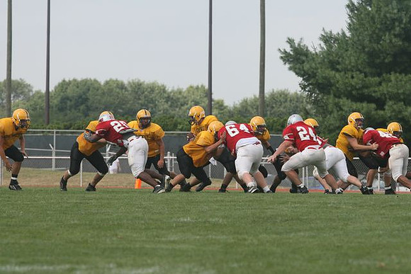 Picture_312