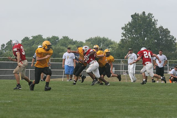 Picture_313
