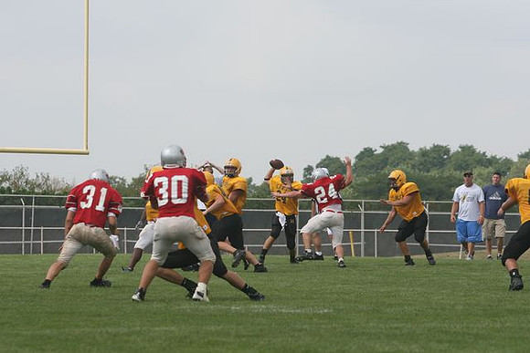 Picture_314
