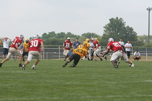 Picture_315