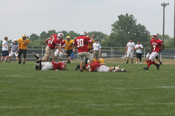 Picture_317