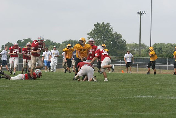 Picture_318