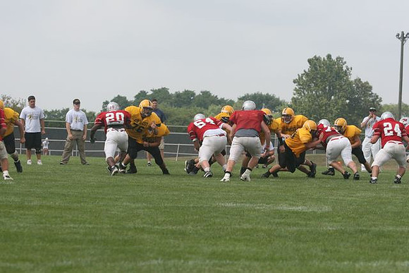 Picture_319