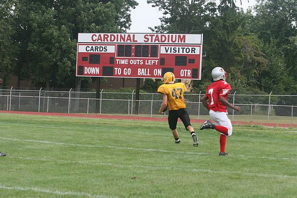 Picture_331