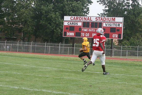 Picture_333