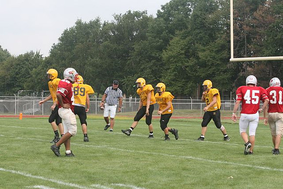 Picture_334