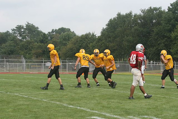 Picture_335