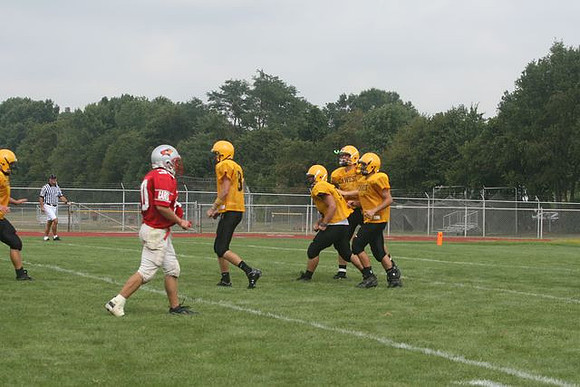 Picture_336