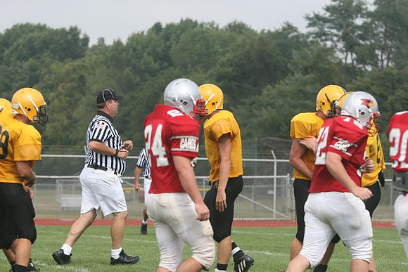 Picture_337