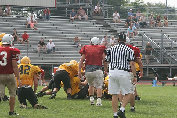 Picture_364
