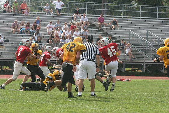Picture_371