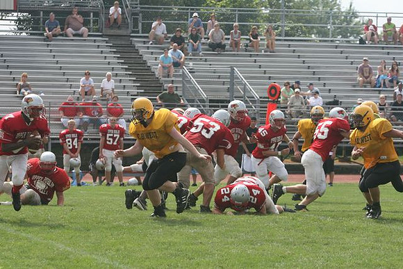 Picture_378