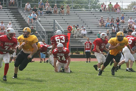 Picture_379