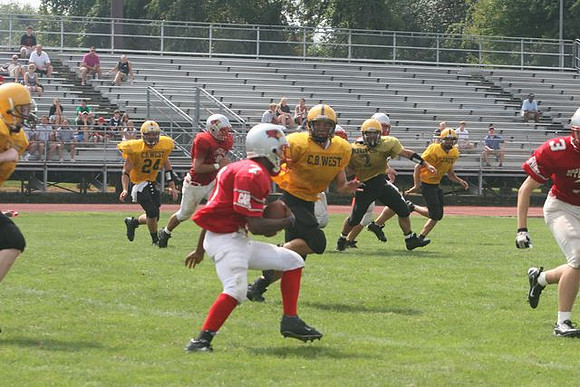 Picture_381