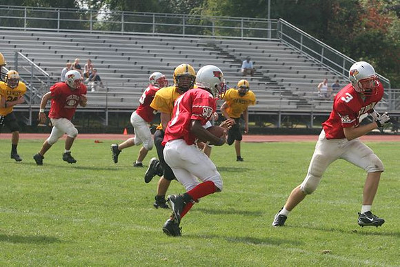Picture_382