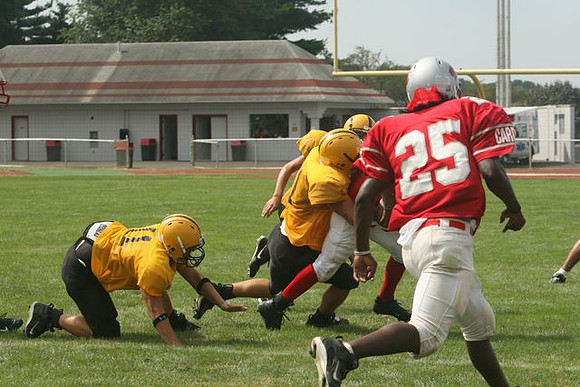 Picture_387