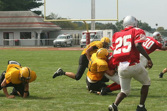 Picture_388