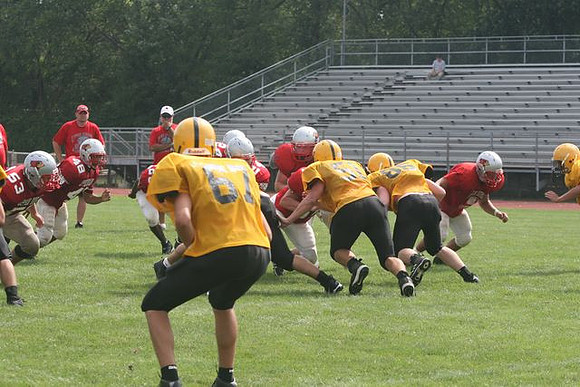 Picture_391