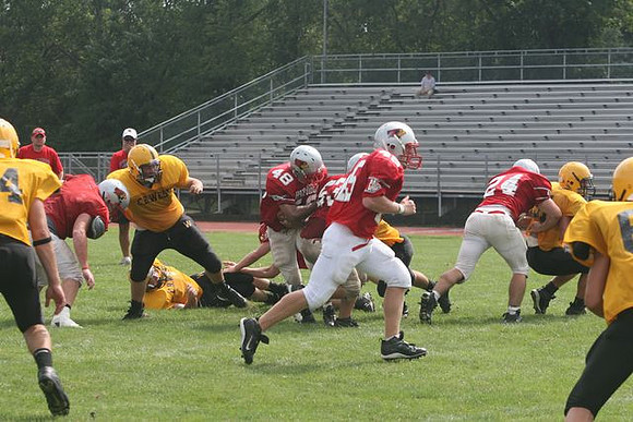 Picture_393