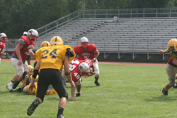 Picture_394