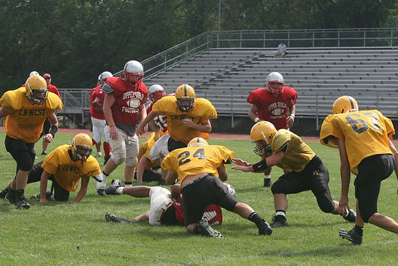 Picture_395