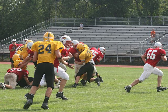Picture_398