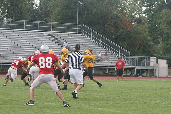 Picture_410