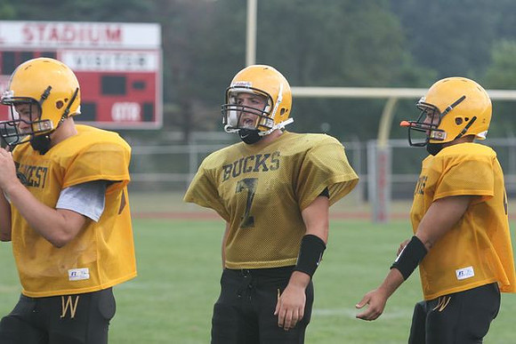 Picture_421