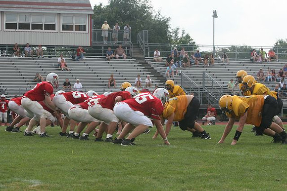 Picture_442