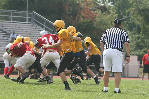 Picture_466