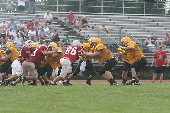 Picture_478