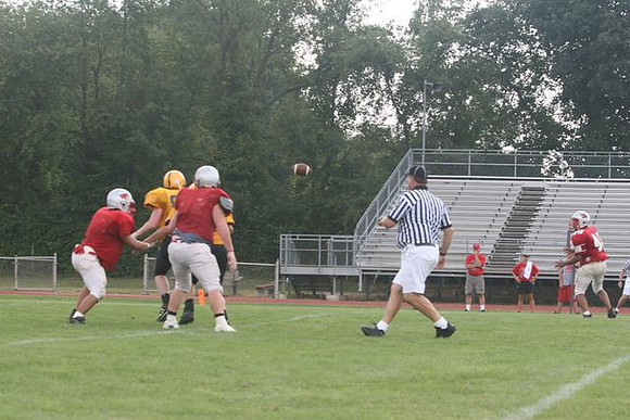 Picture_507