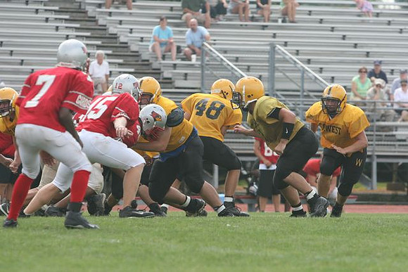 Picture_515