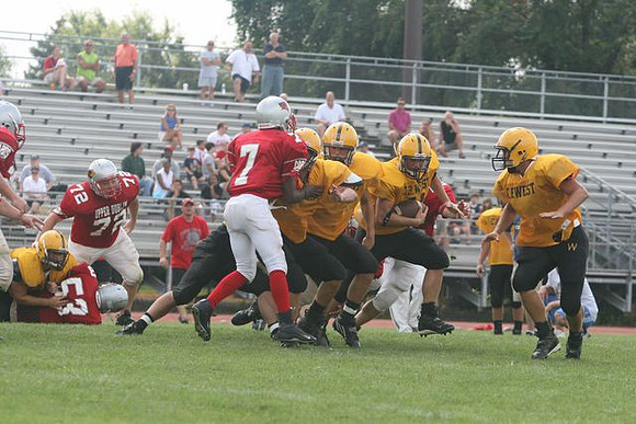 Picture_517