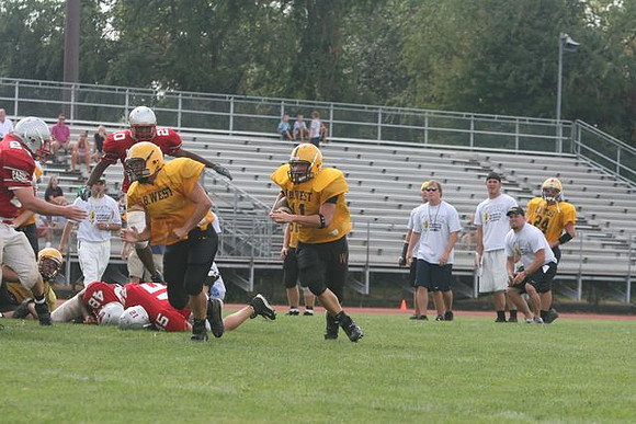 Picture_518