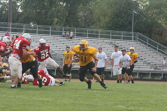 Picture_519