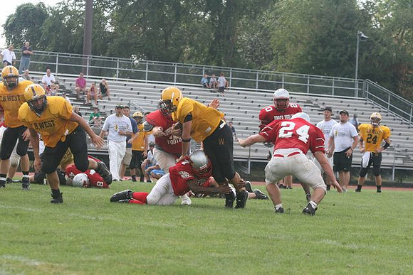 Picture_520