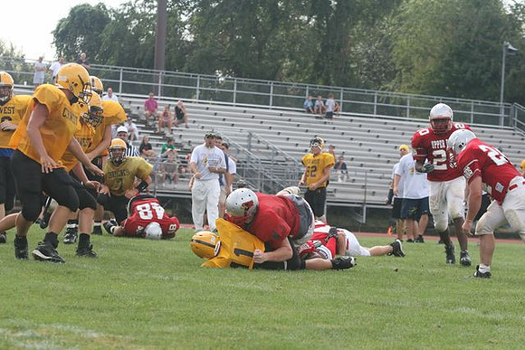 Picture_521