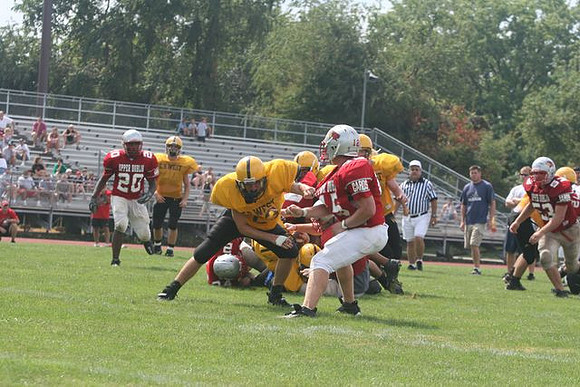 Picture_528